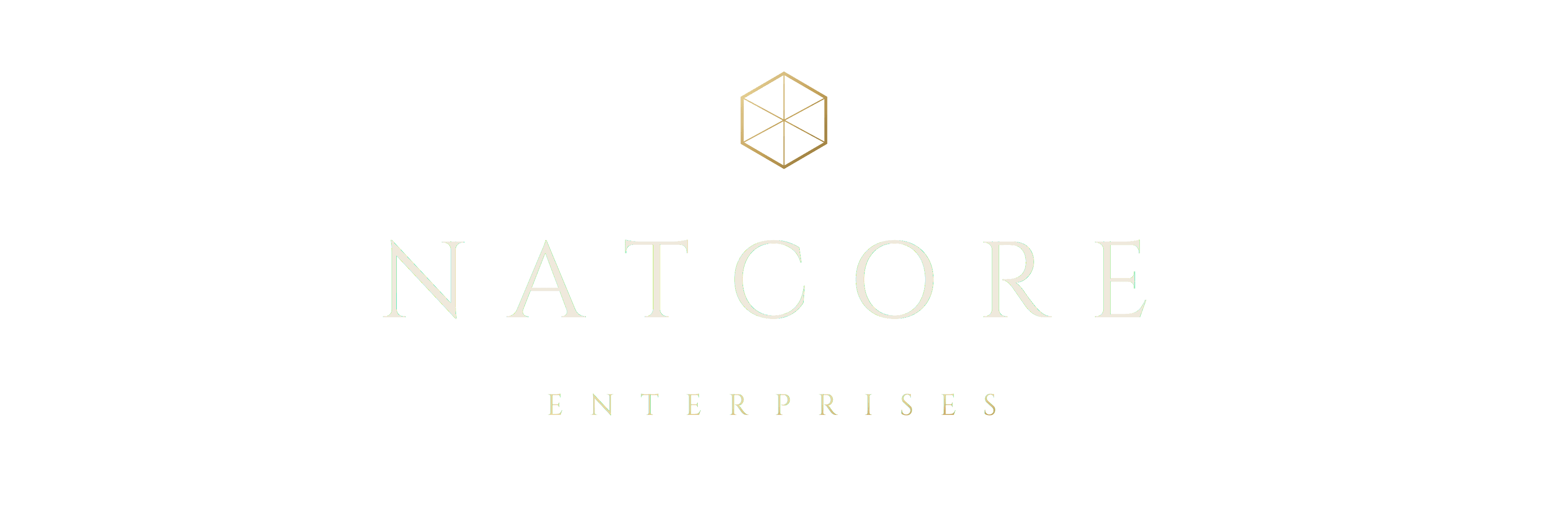 NatCore Enterprises