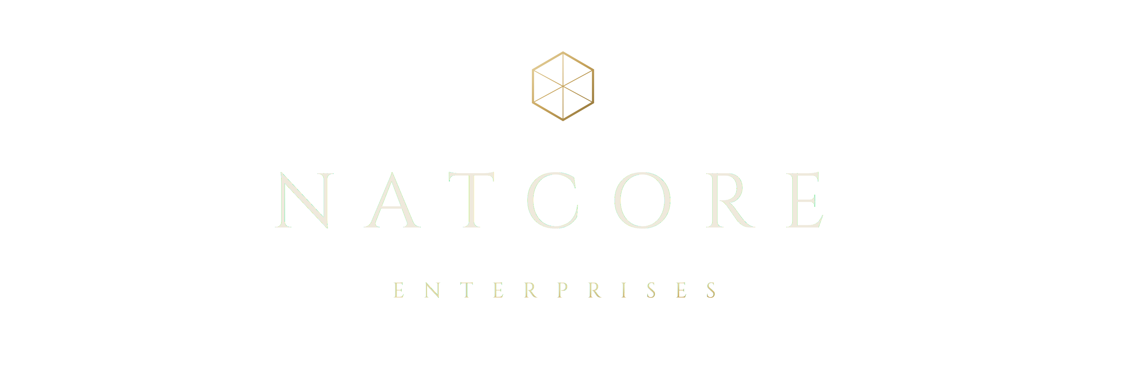 NatCore Enterprises